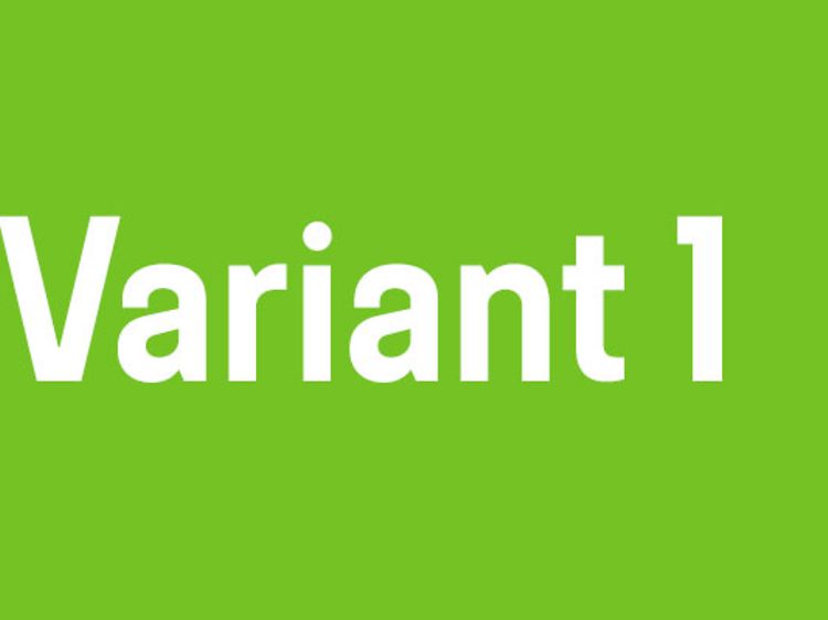 variant-1