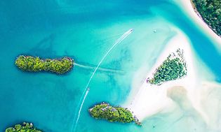 tropical-ty-Denys-nevozhai (1)