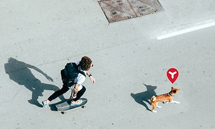 Mand på skateboard hvor hund løber ved siden af