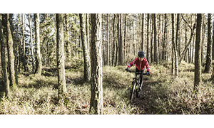 Boy on dirt bike in forest