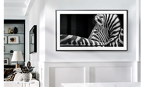samsung tv fram displaying image of zebra