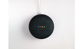 Google Home Mini eller Home Nest